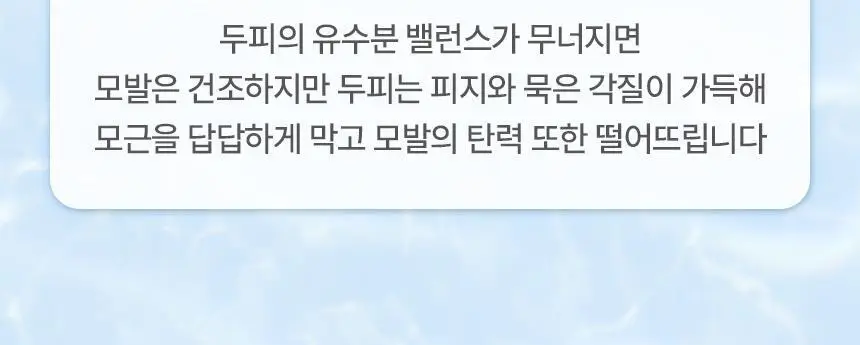 [뿌리볼륨UP] 쿤달 히알루론 두피케어 볼륨 샴푸 500ml 블라썸 브리즈 단독기획세트 상세페이지 7